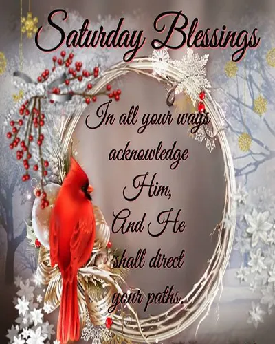 Bible Verses Greetings Greeting Cards 18832