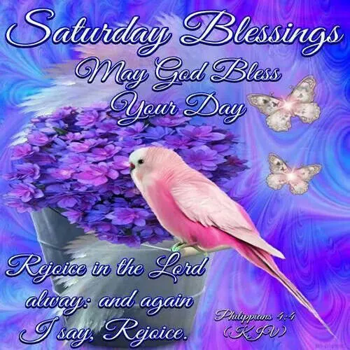 Everyday Greetings Greeting Cards 25454