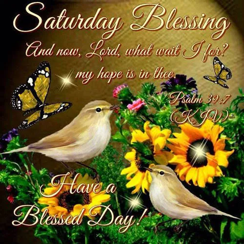 Everyday Greetings Greeting Cards 25457