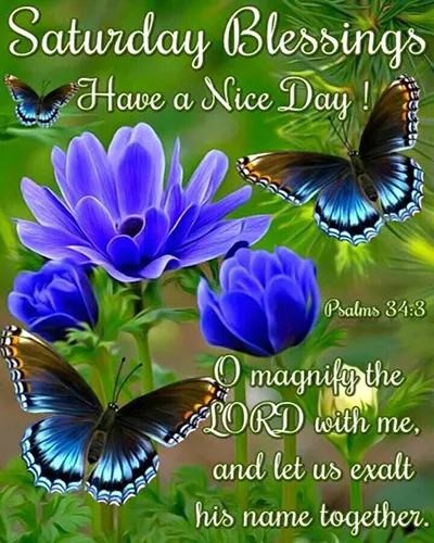 Bible Verses Greetings Greeting Cards 18834