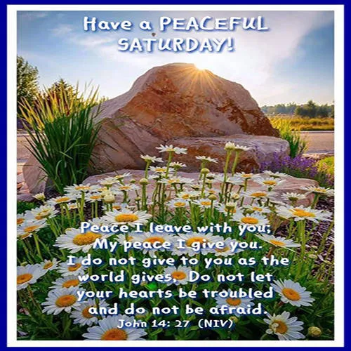 Everyday Greetings Greeting Cards 25455