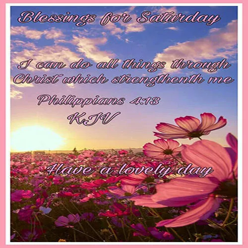 Everyday Greetings Greeting Cards 25458