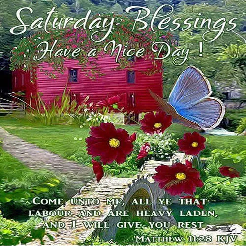 Everyday Greetings Greeting Cards 25459