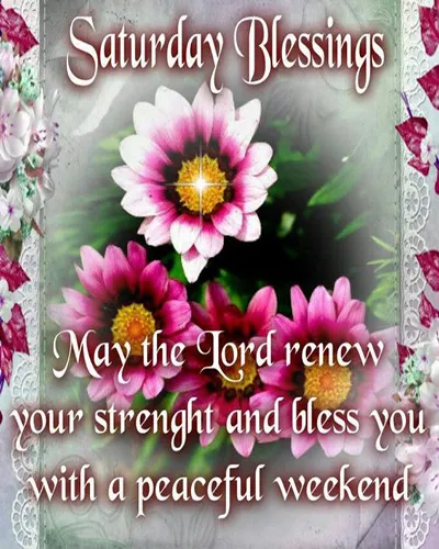 Bible Verses Greetings Greeting Cards 18819