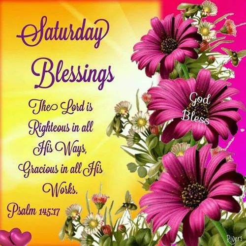 Everyday Greetings Greeting Cards 25461