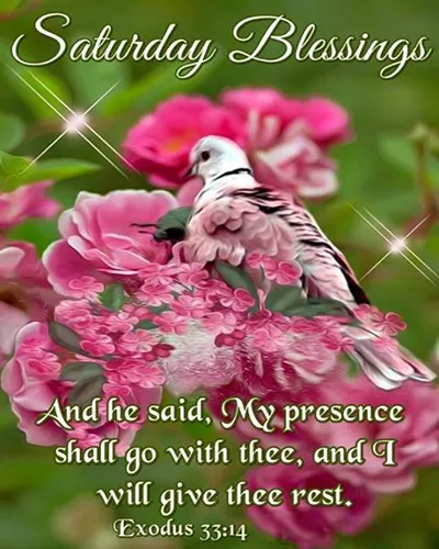 Bible Verses Greetings Greeting Cards 18815