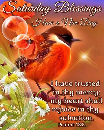 Bible Verses Greetings Greeting Cards 18838