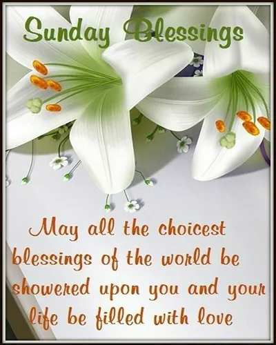 Bible Verses Greetings Greeting Cards 18534