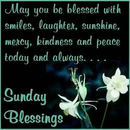 Everyday Greetings Greeting Cards 24085