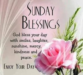 Everyday Greetings Greeting Cards 24086