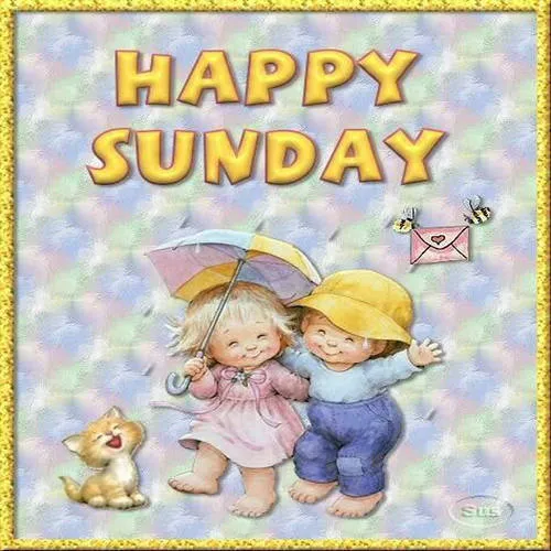 Everyday Greetings Greeting Cards 24089