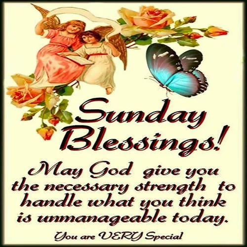 Everyday Greetings Greeting Cards 24091