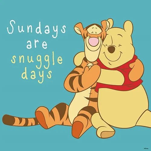 Everyday Greetings Greeting Cards 24088