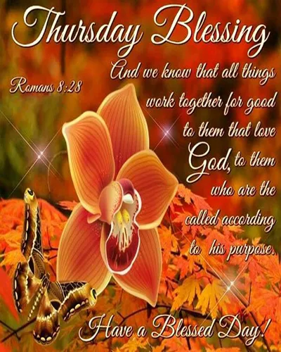 Bible Verses Greetings Greeting Cards 18747