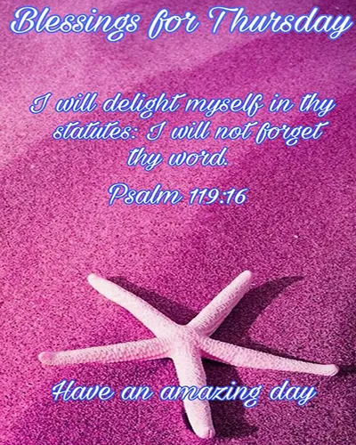 Bible Verses Greetings Greeting Cards 18749