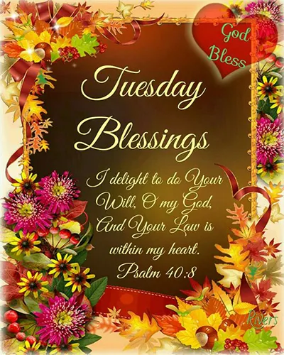 Bible Verses Greetings Greeting Cards 18657