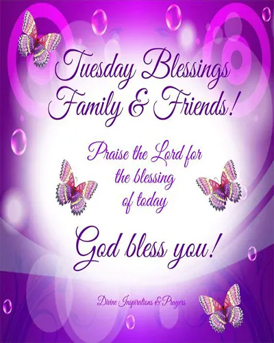 Bible Verses Greetings Greeting Cards 18639