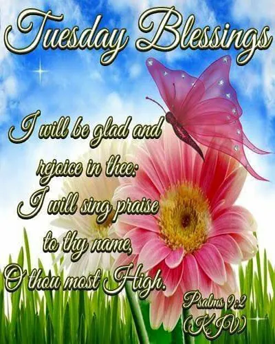 Bible Verses Greetings Greeting Cards 18659