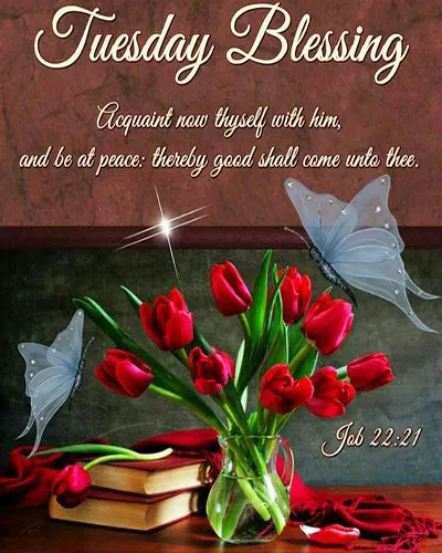Bible Verses Greetings Greeting Cards 18644