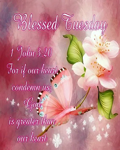 Bible Verses Greetings Greeting Cards 18645