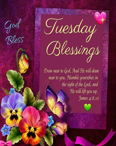Bible Verses Greetings Greeting Cards 18640