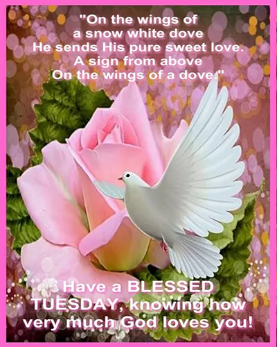Bible Verses Greetings Greeting Cards 18627