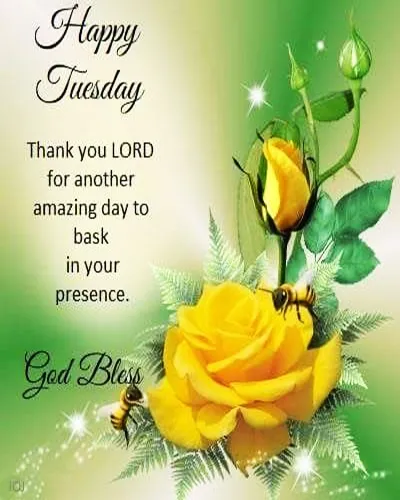 Bible Verses Greetings Greeting Cards 18625