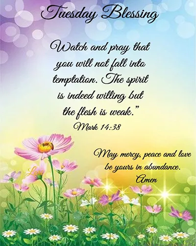 Bible Verses Greetings Greeting Cards 18647