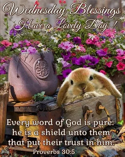 Bible Verses Greetings Greeting Cards 18705