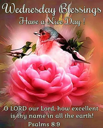Bible Verses Greetings Greeting Cards 18692