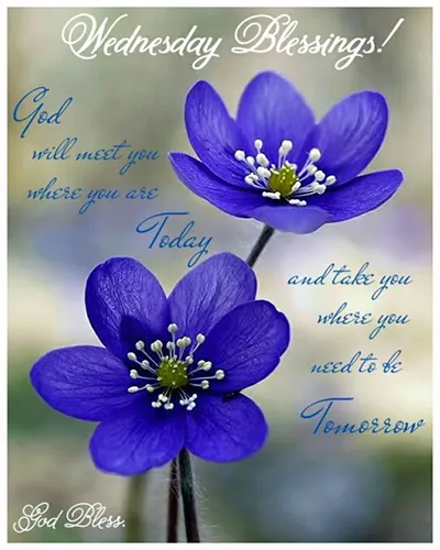Bible Verses Greetings Greeting Cards 18695