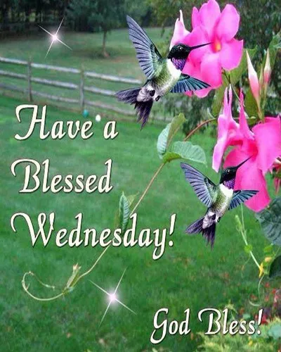 Bible Verses Greetings Greeting Cards 18706